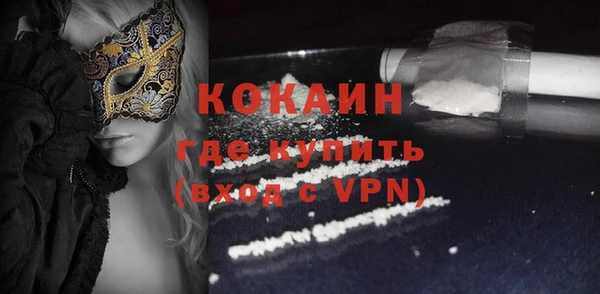 индика Володарск