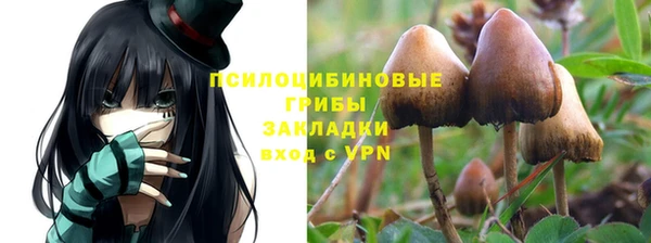 мдпв Волоколамск