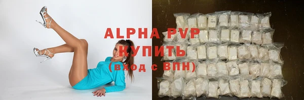 индика Володарск