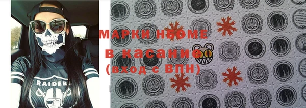 индика Володарск