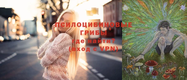 индика Володарск