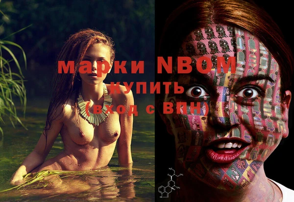 индика Володарск
