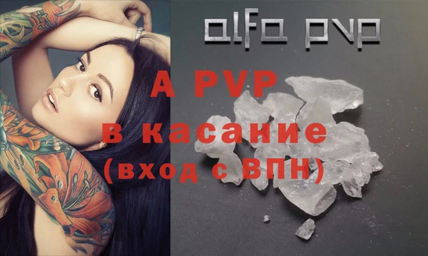 индика Володарск