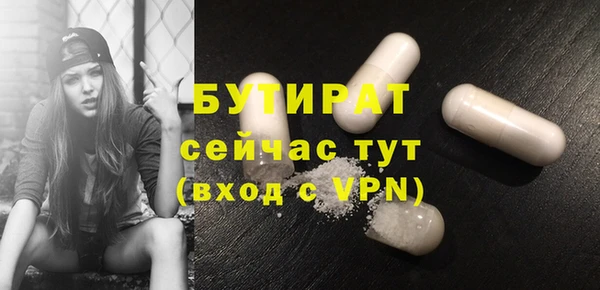 индика Володарск