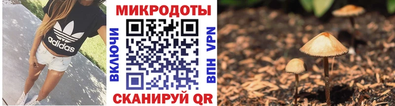 Галлюциногенные грибы Psilocybe  Мариинск 